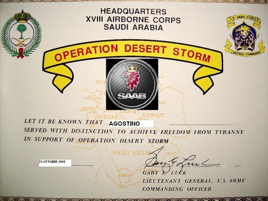 Desert Storm Large.jpg