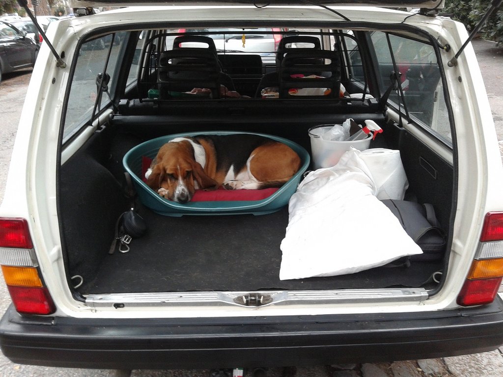 20121101_110705.jpg