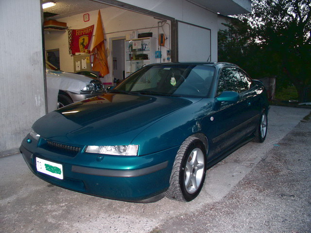 MyCalibra1.jpg